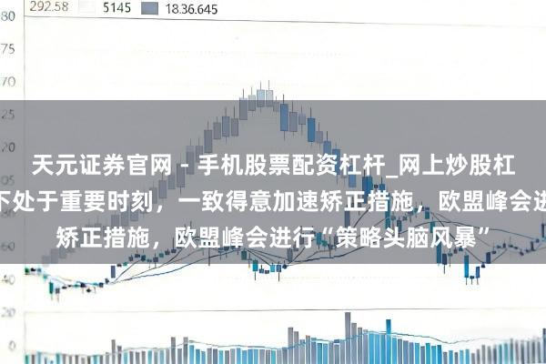 天元证券官网 - 手机股票配资杠杆_网上炒股杠杆官方配资 强调目下处于重要时刻，一致得意加速矫正措施，欧盟峰会进行“策略头脑风暴”