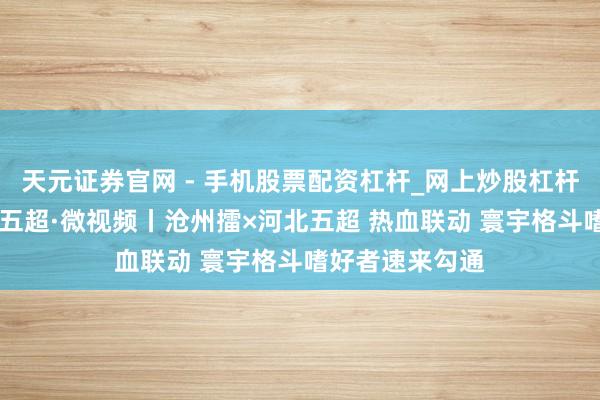 天元证券官网 - 手机股票配资杠杆_网上炒股杠杆官方配资 河北五超·微视频丨沧州擂×河北五超 热血联动 寰宇格斗嗜好者速来勾通