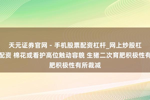 天元证券官网 - 手机股票配资杠杆_网上炒股杠杆官方配资 棉花或看护高位触动容貌 生猪二次育肥积极性有所裁减