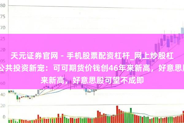 天元证券官网 - 手机股票配资杠杆_网上炒股杠杆官方配资 公共投资新宠:可可期货价钱创46年来新高,好意思股可望不成即