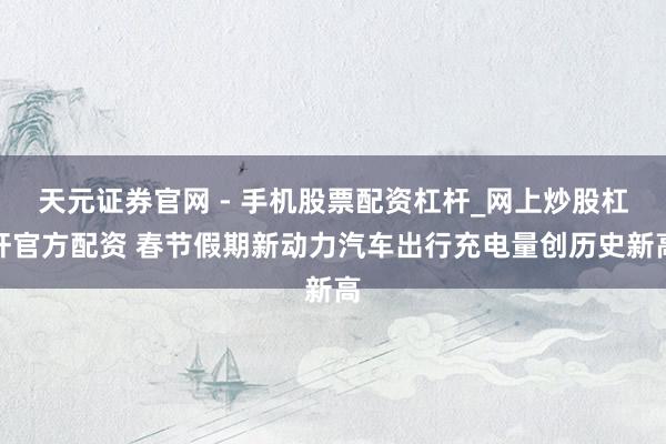 天元证券官网 - 手机股票配资杠杆_网上炒股杠杆官方配资 春节假期新动力汽车出行充电量创历史新高